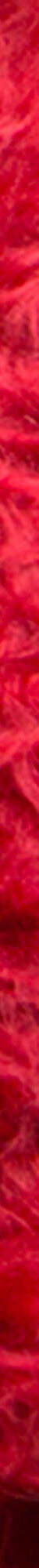 Tapis rond poils longs (rouge) Tapis rond poils longs (rouge)